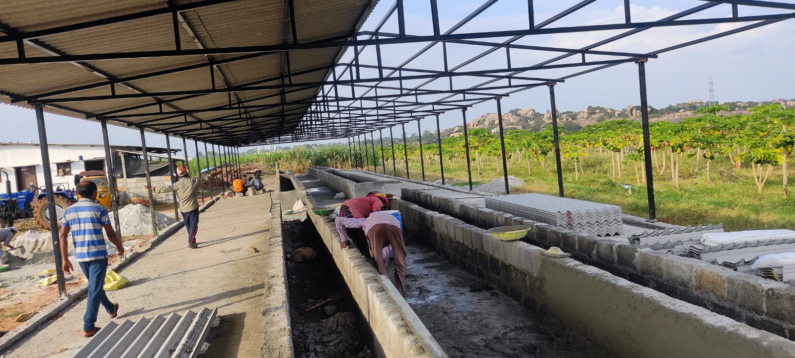 Vermicompost Site - Image 3